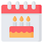 생일 icon