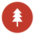 Fir Tree icon