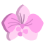 Орхидея icon
