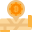 pin icon
