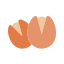 pistachio icon
