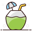coconut drink icon