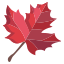 external-maple-leaves-icongeek26-flat-icongeek26 icon