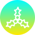 外部ベリー-クリスマス-グラデーション-アモグデザイン icon