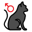 Кошка icon