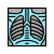 imagem externa-de-pulmões-X-Ray-respiratória-outras-pike icon