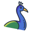 peacock icon
