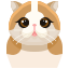 Gato icon