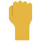 fist icon