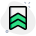 externe-doppeltgestreifte-charge-für-heimwächter-nationale-uniformabzeichen-grün-tal-revivo icon