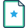 08-star icon