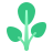 windows 11 color style gailan icon