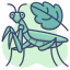 Grassshopper icon