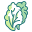 lettuce icon