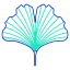 ginkgo icon