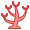 Corallo icon