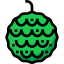 custard apple icon