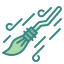 broomstick icon