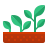 wachsende Pflanze icon