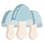 Paddy Straw Mushroom icon