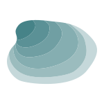 Seashell icon