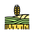 wheat growth icon