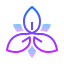 延龄草 icon