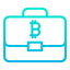 briefcase icon