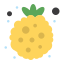 Raspberry icon