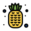 Pineapple icon