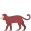 Monkey icon