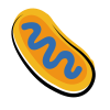 Mitochondria icon