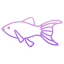 black molly fish icon
