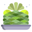 Cactus icon