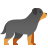 罗威纳犬 icon