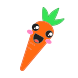 carrot icon
