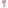 blossom icon