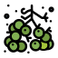 berries icon