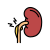 Nephritic Syndrome icon