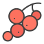 red berries icon
