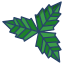 mint leaf icon