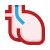 Heart organ icon