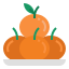 oranges-externes-nouvel-an-chinois-flat-wichaiwi icon