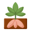 Yucca icon