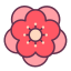 Fiore icon