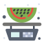 Watermelon icon