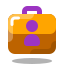 Portfolio icon