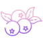 blueberry icon