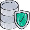 data icon