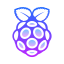 라즈베리 파이 icon